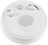 ChiliTec plafondradio met bewegingssensor